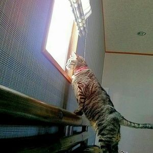 Meet your Posher, Noriko